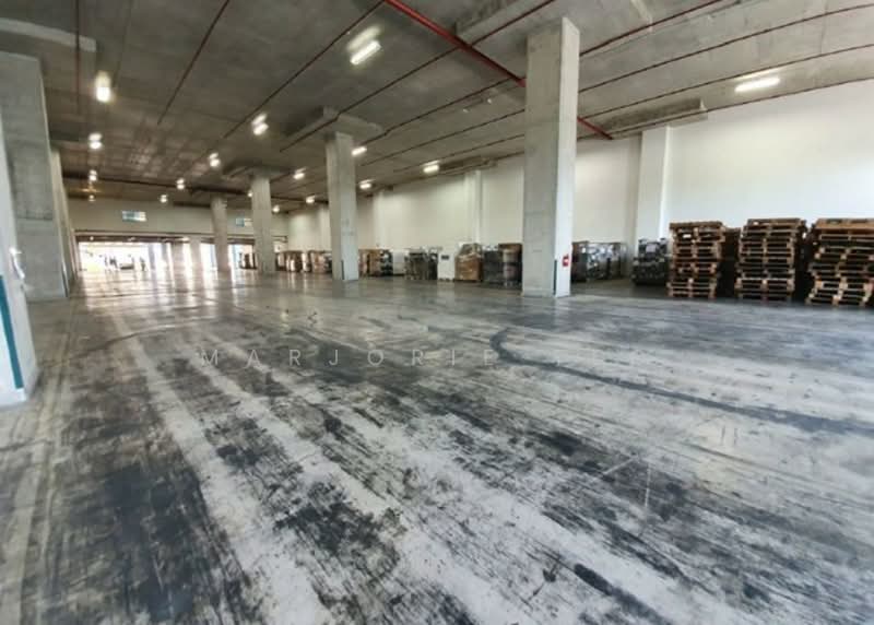 9m-ceiling Ramp-up B2 Logistic Warehouse @ Changi North, Changi North Way, 43,160 sqft, Warehouse For Rent, by Marjorie Teo, 25335683 - CommercialGuru.com.sg