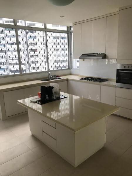 Elizabeth Tower, 12 Mount Elizabeth, Orchard / River Valley, 4 Bedrooms, 2,930 sqft, Condominium For Rent, by Carl Elias, 25336314 - PropertyGuru.com.sg