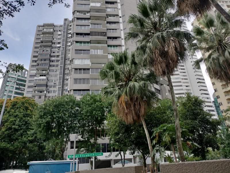 Elizabeth Tower, 12 Mount Elizabeth, Orchard / River Valley, 4 Bedrooms, 2,930 sqft, Condominium For Rent, by Carl Elias, 25336314 - PropertyGuru.com.sg