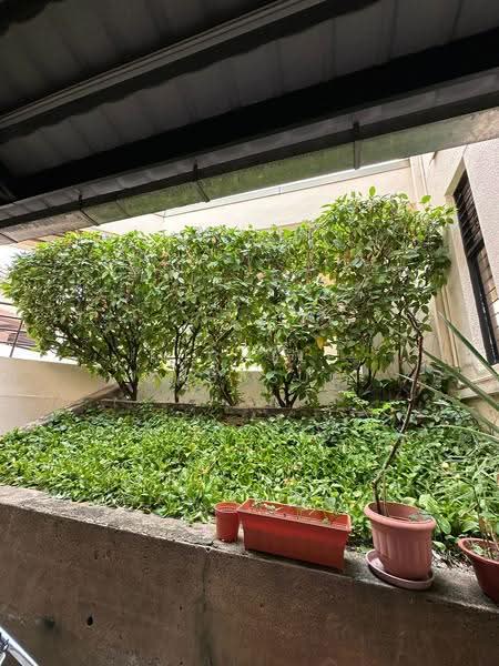 The Draycott, 50 Draycott Park, Tanglin / Holland / Bukit Timah, 4 Bedrooms, 2,788 sqft, Apartment For Sale, by Michele Cabasug, 25338450 - Garden - PropertyGuru.com.sg