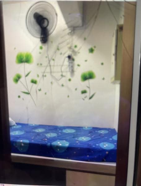 Palm Gardens, 3 Hong San Walk, Dairy Farm / Bukit Panjang / Choa Chu Kang, Room Rental, 90 sqft, Condominium For Rent, by Gary Loh, 25342813 - Bedroom - PropertyGuru.com.sg