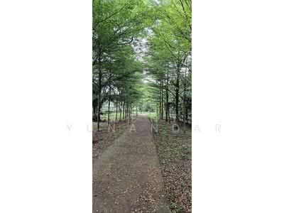 For Sale - MEYER BLUE