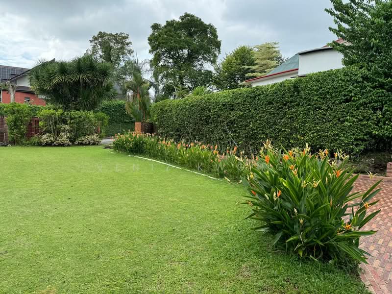 Olive Road, , 4 Bedrooms, 5,500 sqft, Good Class Bungalow For Sale, by Veniz Kwong, 25343834 - PropertyGuru.com.sg