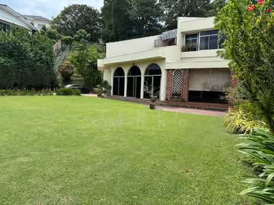 For Sale - Olive Road