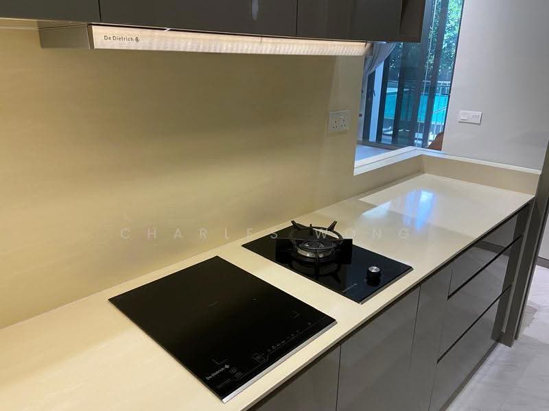 Robin Residences, 3 Robin Drive, Tanglin / Holland / Bukit Timah, 3 Bedrooms, 1,195 sqft, Condominium For Rent, by Charles Wong, 25344142 - De Dietrich Induction + Stove + Oven - PropertyGuru.com.sg