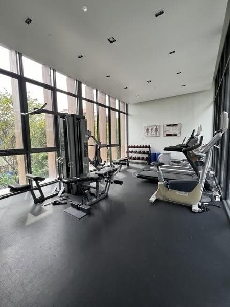 Robin Residences, 3 Robin Drive, Tanglin / Holland / Bukit Timah, 3 Bedrooms, 1,195 sqft, Condominium For Rent, by Charles Wong, 25344142 - Gym - PropertyGuru.com.sg