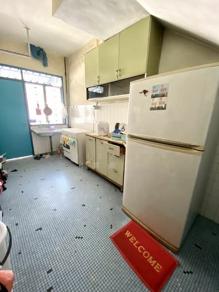Onan road, Eunos / Geylang / Paya Lebar, 4 Bedrooms, 2,250 sqft, Corner Terrace For Rent, by Aloisa Lua (嘉嘉), 25347710 - PropertyGuru.com.sg