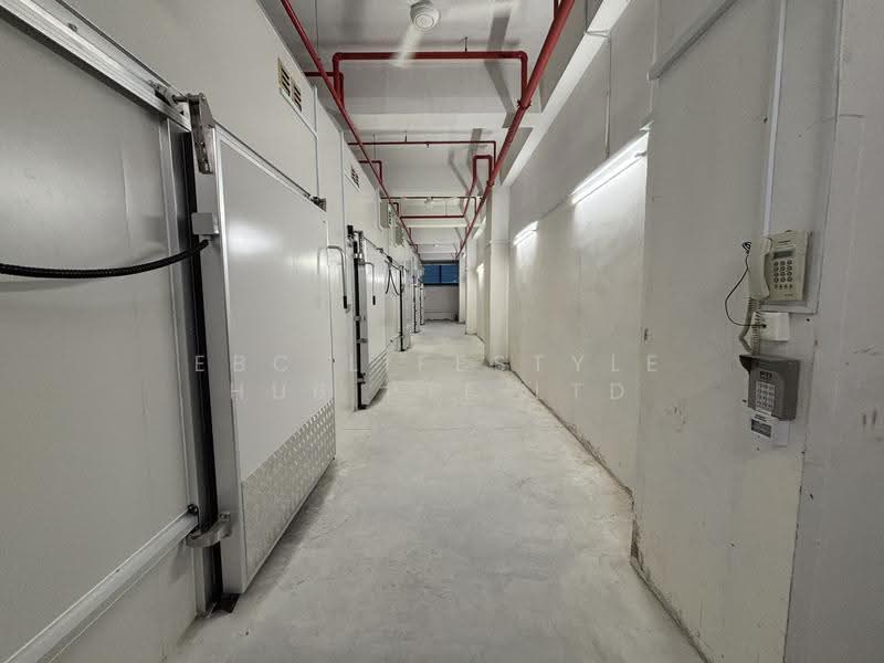 50 Tagore Lane @ EBC Lifestyle Hub, 50 Tagore Lane, Mandai / Upper Thomson, 316 sqft, Light Industrial (B1) For Rent, by EBC Lifestyle Hub Pte Ltd, 25349464 - Corridor - CommercialGuru.com.sg