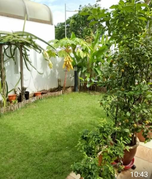 26b lorong ong lai, 26b lorong ong lai, Room Rental, 130 sqft, Terraced House For Rent, by Han Hai Juan, 25349685 - PropertyGuru.com.sg