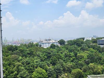 For Sale - Normanton Park