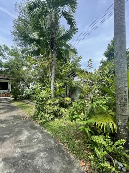 Jalan jarak, Seletar / Yio Chu Kang, 3 Bedrooms, 1,500 sqft, Semi-Detached House For Rent, by Annie Tan, 25350756 - PropertyGuru.com.sg