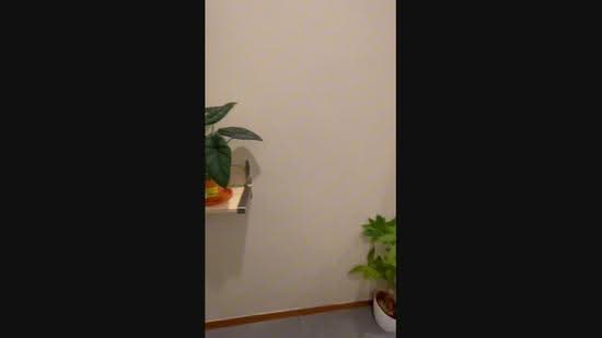 Pegu Road, 8, Newton / Novena, 1 Bedroom, 600 sqft, Apartment For Rent, by Sherlyn Koh, 25357287 - PropertyGuru.com.sg