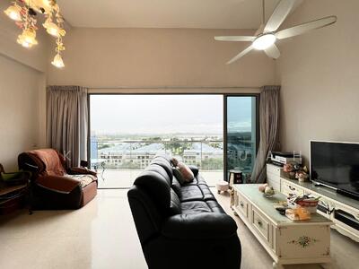 For Sale - Skies Miltonia