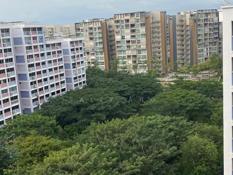 483 Pasir Ris Drive 4, 483 Pasir Ris Drive 4, Pasir Ris / Tampines, Room Rental, 120 sqft, HDB Flat For Rent, by Sally Ang, 25362342 - PropertyGuru.com.sg