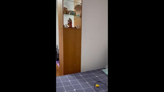 Lor Sari, Lorong sari, Room Rental, 200 sqft, Detached House For Rent, by Lawrence Dai, 25363535 - PropertyGuru.com.sg