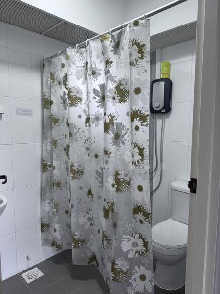 288B Compassvale Crescent, 288B Compassvale Crescent, Hougang / Punggol / Sengkang, Room Rental, 120 sqft, HDB Flat For Rent, by Tricia Chiow 趙寧思, 25364041 - Bathroom - PropertyGuru.com.sg