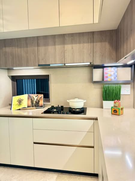 The Avenir, 8 River Valley Close, Orchard / River Valley, 3 Bedrooms, 1,141 sqft, Condominium For Rent, by Elna Tan, 25364255 - PropertyGuru.com.sg