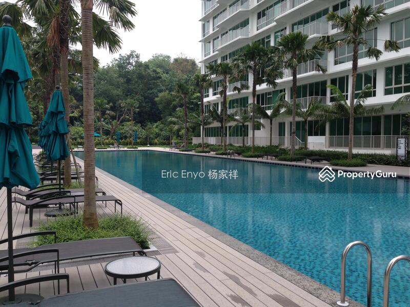For Rent - Tree House