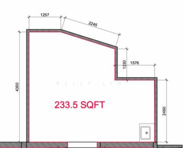 36 Haig road, , 234 sqft, Medical For Rent, by Kelly Lin, 25370973 - CommercialGuru.com.sg