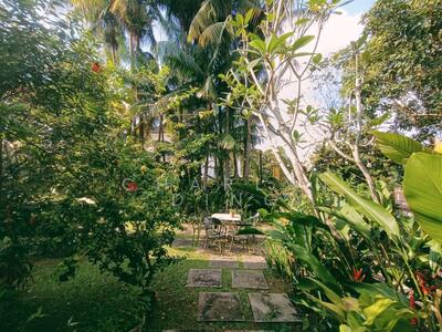 For Sale - Caldecott / Andrew / Olive