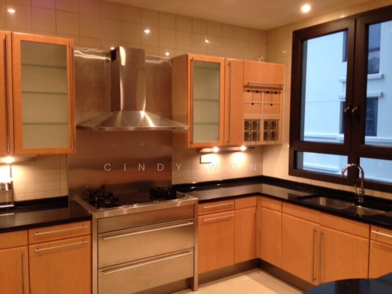 Ardmore Park, 9 Ardmore Park, 4 Bedrooms, 2,885 sqft, Condominium For Rent, by Cindy Wong, 25374807 - PropertyGuru.com.sg