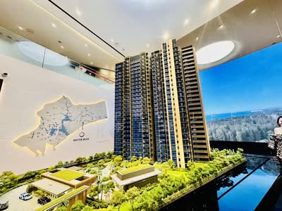 For Sale - MEYER BLUE