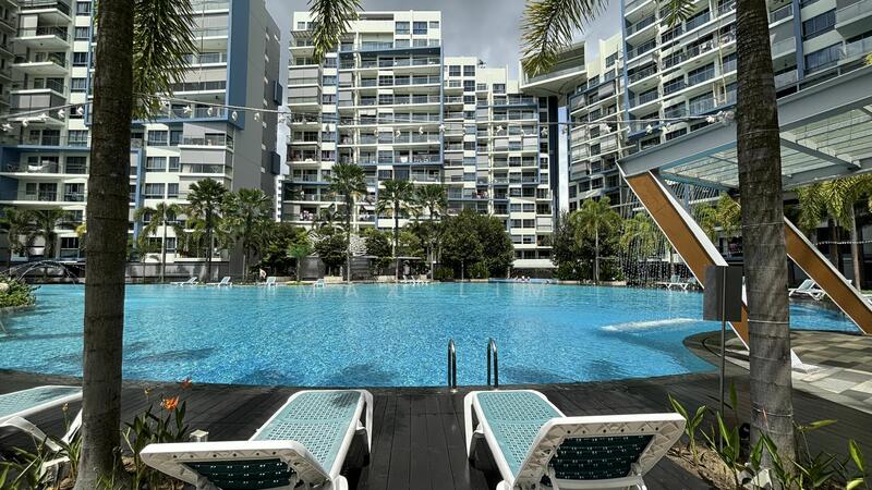 For Sale - Skies Miltonia