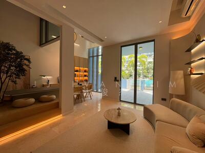 For Sale - Skies Miltonia