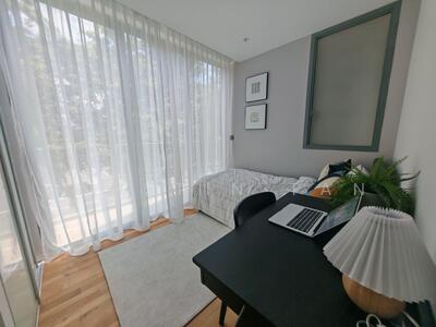 For Sale - Skies Miltonia