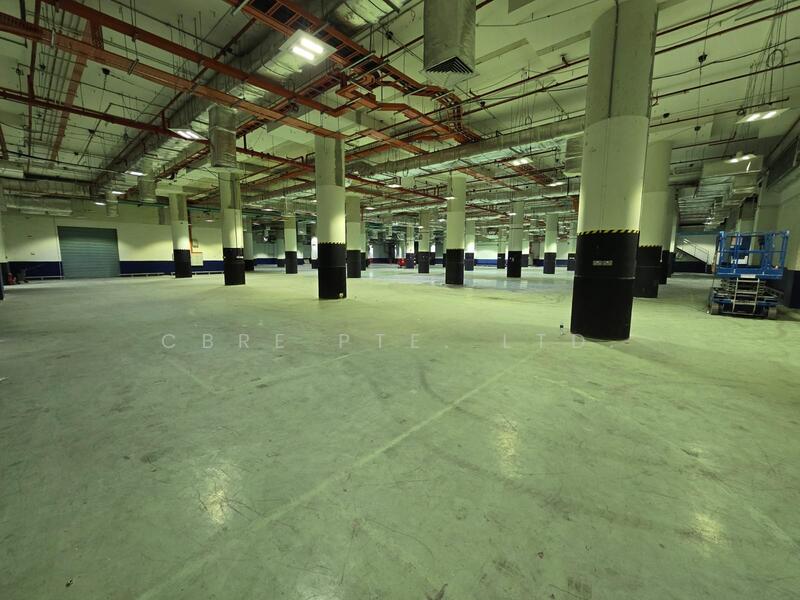 15 Senoko Loop, , 20,000 sqft, Warehouse For Rent, by WALLACE, 25387644 - CommercialGuru.com.sg