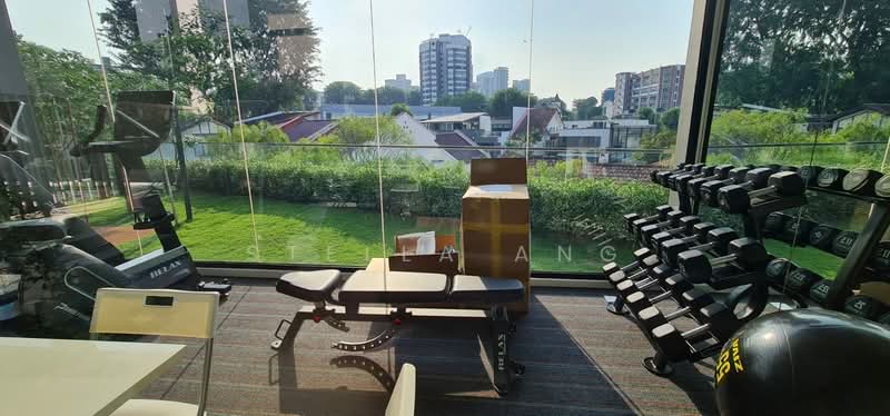 35 Gilstead, 35 Gilstead Road, 2 Bedrooms, 549 sqft, Apartment For Rent, by Stella Ang, 25388349 - PropertyGuru.com.sg