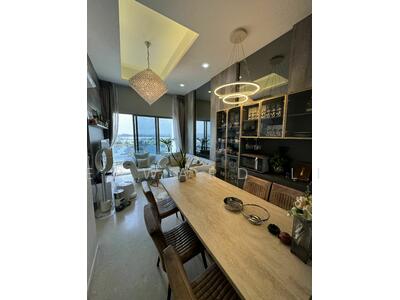 For Sale - Skies Miltonia