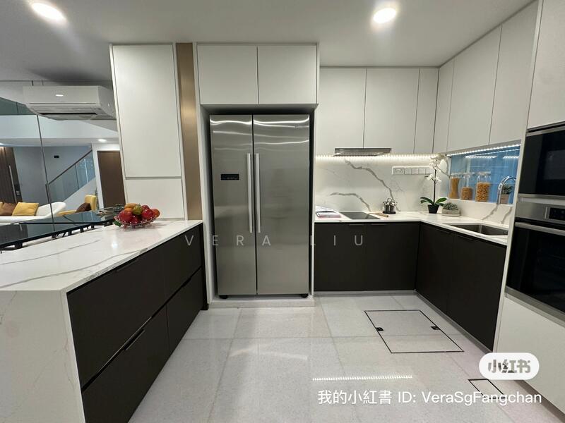 乌节路新别墅Orchard New Terrace house, Super Near paragon, Orchard / River Valley, 5 Bedrooms, 5,300 sqft, Terraced House For Rent, by Vera Liu, 25392146 - PropertyGuru.com.sg