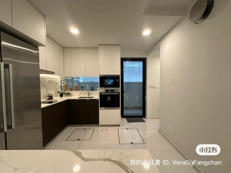 乌节路新别墅Orchard New Terrace house, Super Near paragon, Orchard / River Valley, 5 Bedrooms, 5,300 sqft, Terraced House For Rent, by Vera Liu, 25392146 - PropertyGuru.com.sg