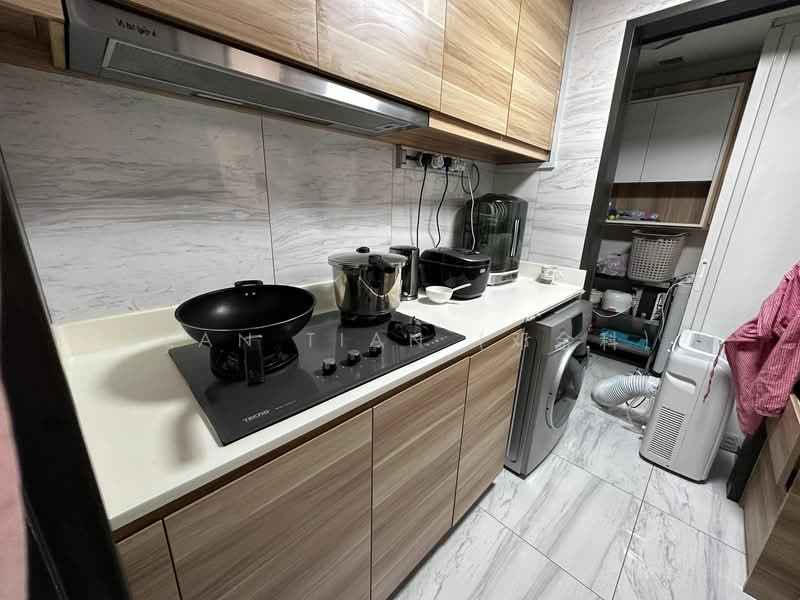 The Poiz Residences, 6 Meyappa Chettiar Road, 4 Bedrooms, 1,507 sqft, Condominium For Rent, by Alan Tian (邓金科), 25393257 - PropertyGuru.com.sg