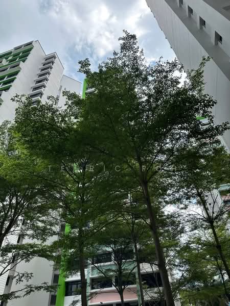 For Rent - 339A Kang Ching Road