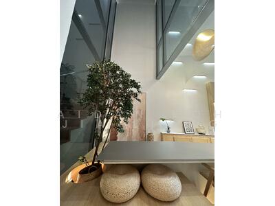 For Sale - Skies Miltonia