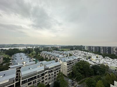 For Sale - Skies Miltonia