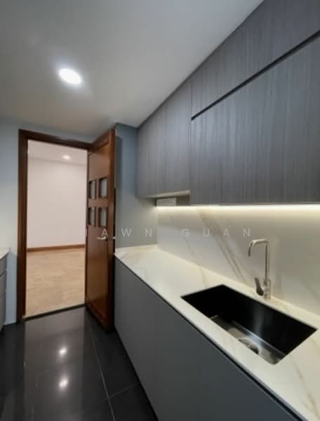 River Place, 62 Havelock Road, 1 Bedroom, 721 sqft, Condominium For Sale, by Shawn Guan, 25401227 - PropertyGuru.com.sg