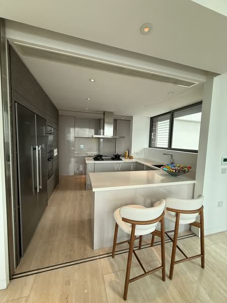 Ardmore Residence, 7 Ardmore Park, 4 Bedrooms, 3,186 sqft, Condominium For Rent, by Fu Wei, 25402194 - PropertyGuru.com.sg