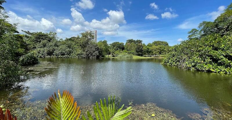 Walk to botanic daily