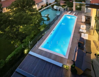 For Rent - Holland V Duplex Penthouse with 20m pool