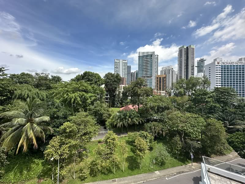 1 Nassim: A Luxurious Residence with a Huge Private Pool, 1 Nassim Road, 2 Bedrooms, 2,875 sqft, Apartment For Rent, by Toh Jun Chong, 25407524 - PropertyGuru.com.sg