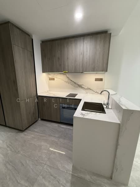 Leedon Green, 28 Leedon Heights, 1 Bedroom, 538 sqft, Condominium For Rent, by Charlie Ethan Chia, 25409138 - PropertyGuru.com.sg
