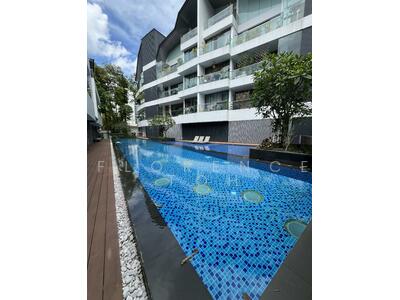 For Sale - The Holland Collection