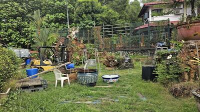 For Sale - Woodland park