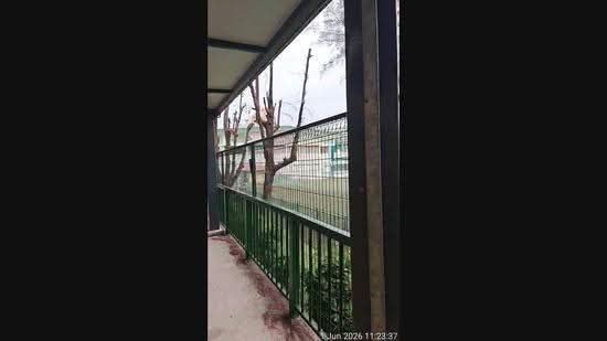 Regent Park, 26 Jalan Lempeng, Buona Vista / West Coast / Clementi New Town, Room Rental, 140 sqft, Condominium For Rent, by Philip Tan, 25416265 - PropertyGuru.com.sg