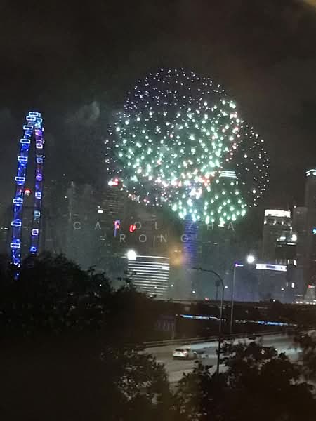 Sanctuary Green, 185 Tanjong Rhu Road, 2 Bedrooms, 958 sqft, Condominium For Rent, by Carol Zha Rong, 25417499 - firework show from living room - PropertyGuru.com.sg