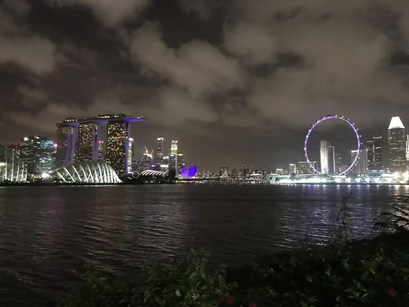 Sanctuary Green, 185 Tanjong Rhu Road, 2 Bedrooms, 958 sqft, Condominium For Rent, by Carol Zha Rong, 25417499 - City view from Garden by the bay which is 300meter away - PropertyGuru.com.sg
