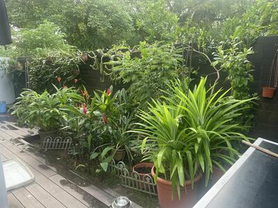 For Sale - ⭐️MOVE IN⭐️HUA GUAN⭐️$26xx psf⭐️